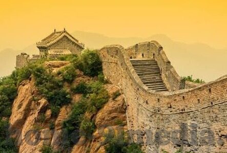 成人视频app下载-成人视频app，网络时代的隐秘角落