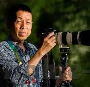 大象传媒成人-成人娱乐与大象传媒，文化边界的微妙探索