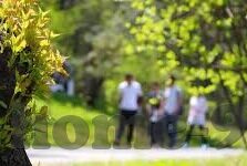 麻豆传媒最新视频-麻豆传媒，影音新视界的创新之旅