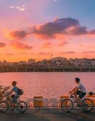 糖心vlog下载ios-解锁你的生活小确幸——甜美发现，糖心Vlog下载之旅